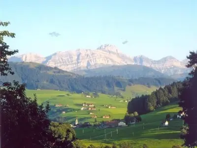 a green valley with mountains in the background at Apartment Bauernhof ufem Berg by Interhome in Herisau