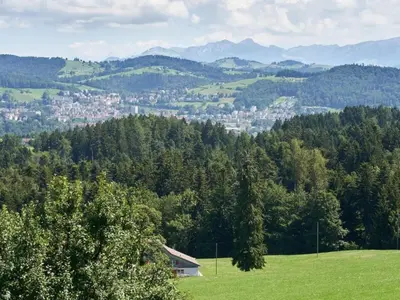 a green hillside with trees and a town in the distance at Apartment Hof Höchi by Interhome in Bruggen