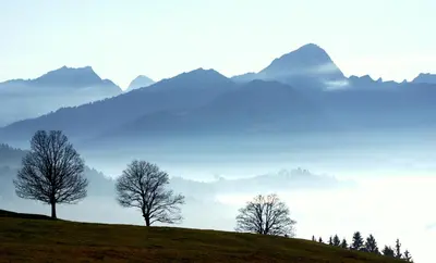 three trees on a hill with mountains in the background at Sonnmatt Bergpension & Gesundheitszentrum in Ebnat
