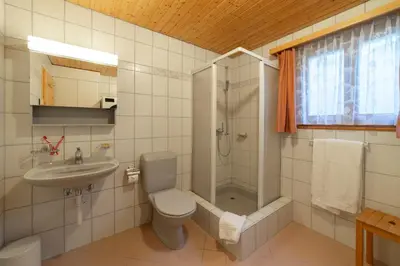 a bathroom with a toilet and a shower and a sink at Sonnegge in Wildhaus