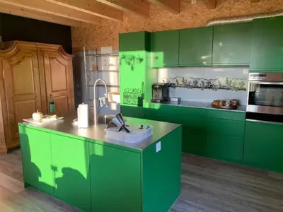 a green kitchen with green cabinets and a sink at Apartment nirkwerk by Interhome in Schönengrund