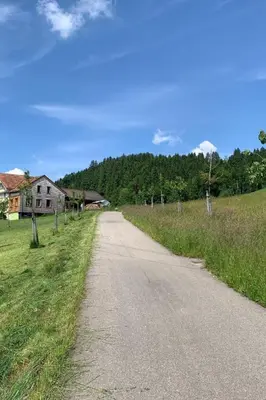 an empty road in a field next to a house at Apartment nirkwerk by Interhome in Schönengrund