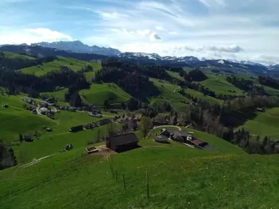 a green hillside with a group of buildings on it at Apartment Hasenbüel by Interhome in Ricken