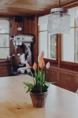 a potted plant sitting on a table with a light at Holiday Home Lindeli by Interhome in Sankt Peterzell