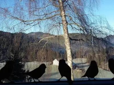 a group of black cats sitting on a window sill at Holiday Home Haus Chrumis by Interhome in Sankt Peterzell
