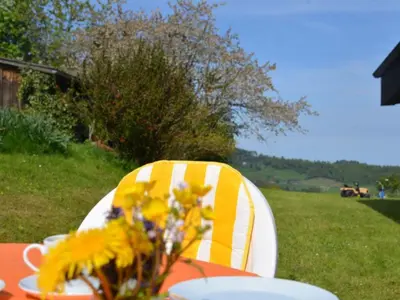 a table with a yellow and white chair with flowers on it at Holiday Home See in Sicht by Interhome in Wolfhalden