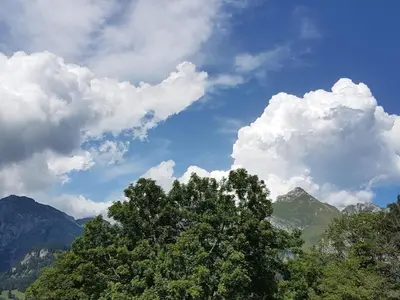 a group of trees in front of some mountains at Apartment Bergsicht by Interhome in Wildhaus