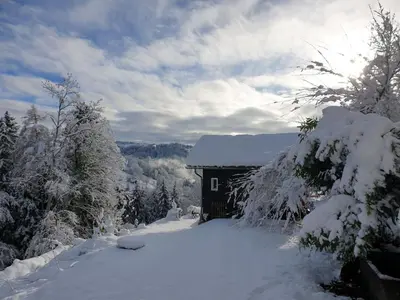 a house covered in snow next to some trees at Holiday Home Bienenhaus Speicher by Interhome in Speicher