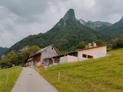 a barn on a hill with a mountain in the background at Apartment Löhli Hof by Interhome in Lienz