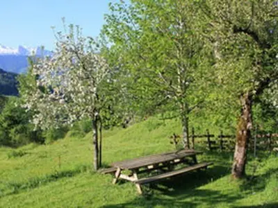 a wooden picnic table in a field with trees at Holiday Home Obere Laui by Interhome in Nesslau