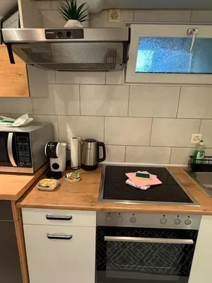 a kitchen with a stove and a microwave at Whirlpool on Lake Constance with free parking in Romanshorn