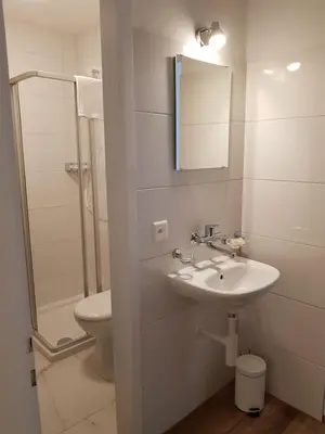 a bathroom with a sink and a toilet and a mirror at Hotel Elite Self-Check-in in St. Gallen