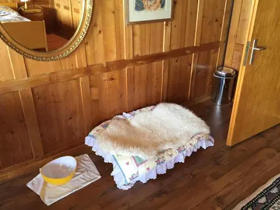 a rug on the floor in a room with a mirror at Wohlfühloase für Mensch und Hund in Uzwil