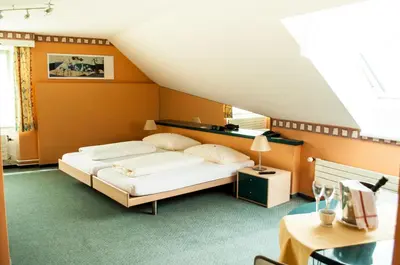 a bedroom with a bed in a room at Landgasthof Lowen in Sulgen