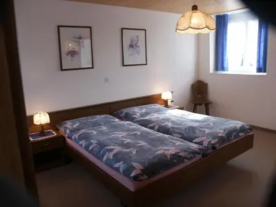 a bedroom with a bed and two lamps on tables at Hotel Garni Sonne in Landschlacht Gemeinde Münsterlingen