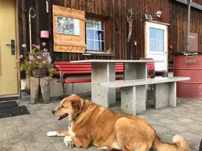 a dog laying on the ground next to a picnic table at Hof Dietrich in Herisau