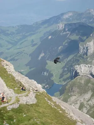 a view of a valley from the top of a mountain at Studio-Ferienwohnung Hans Fässler in Appenzell