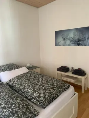a bedroom with two beds and a picture on the wall at room service Joppich in St. Gallen
