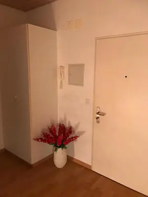 a vase with red flowers sitting next to a door at room service Joppich in St. Gallen