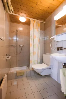 a bathroom with a toilet and a shower and a sink at Hotel Restaurant Schönau in Wildhaus