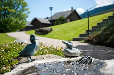 two birds sitting on top of a rock at Schwendi Lodge in Unterwasser