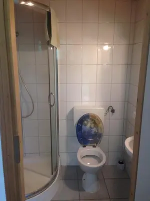 a bathroom with a toilet with a glass shower stall at Bodensee Moosburg Biohof am See in Güttingen