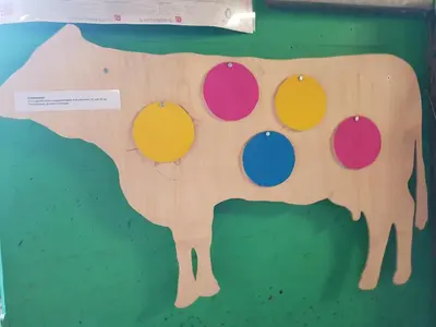 a wooden cow with four colored circles on it at Ferien im Gugger in Nesslau