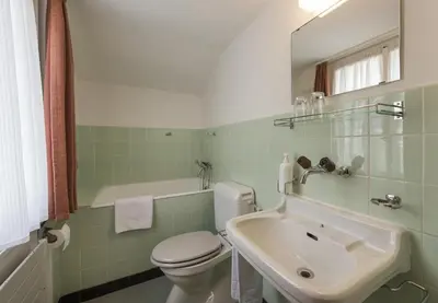 a bathroom with a white toilet and a sink at Chalet Ritornell in Wildhaus