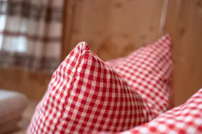 two red and white checkered pillows on a bed at Hof-Tschannen in Lengwil
