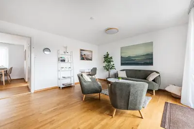 a living room with a couch and chairs and a table at SOHO F !Gratis Parken, Free Parking! in Kreuzlingen