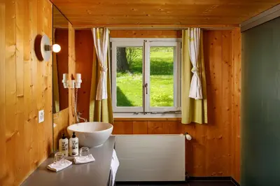 a bathroom with a sink and a window at Hirschen Guesthouse - Village Hotel in Wildhaus