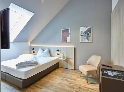 a bedroom with a bed and a tv and a chair at Hotel Balga Natur- und Bikehotel in Balgach