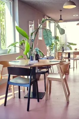 a table and chairs in a room with plants at Hotel Balga Natur- und Bikehotel in Balgach