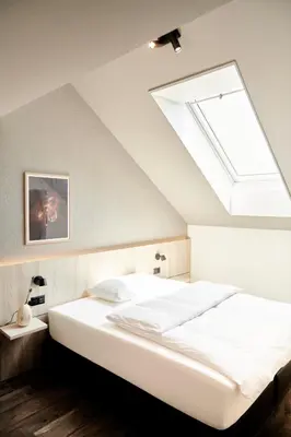 a bedroom with a large white bed with a skylight at Hotel Balga Natur- und Bikehotel in Balgach