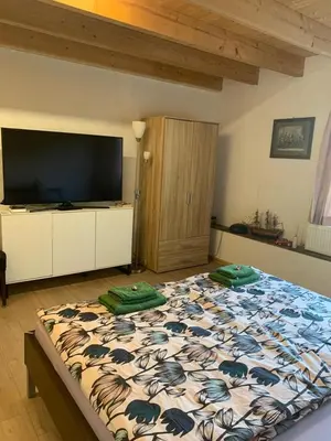 a bedroom with a large bed with a large television at Bio Hof Moosburg am See mit Sauna in Güttingen