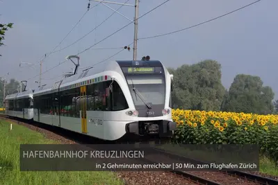 a train on the tracks next to a field of flowers at Hotel Kreuzlingen am Hafen in Kreuzlingen