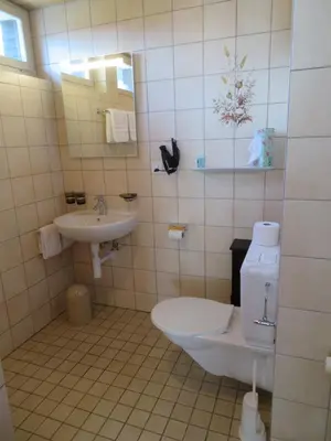 a bathroom with a toilet and a sink at Landhaus an der Thur in Alt Sankt Johann