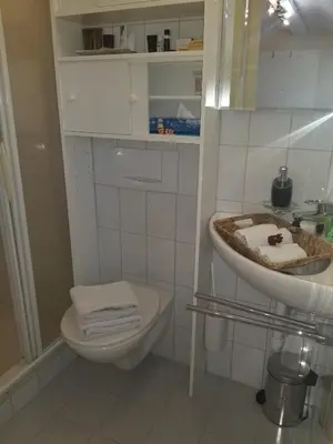 a bathroom with a sink and a toilet at Studio direkt am Bodensee in Thal