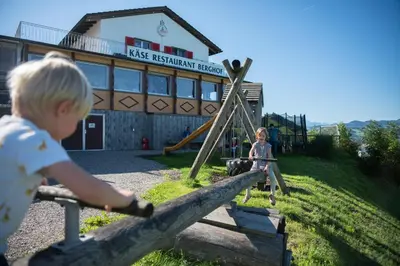 a young boy playing on a swing set at a playground at Restaurant und Kaeserei Berghof in Ganterschwil