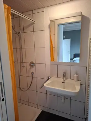 a bathroom with a sink and a shower with a mirror at Zwinglis Ferienwohnung in Nesslau