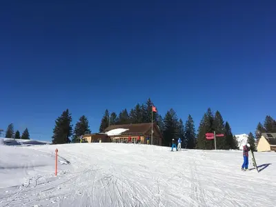 a group of people skiing down a snow covered slope at Ferienwohnung Haus am Bach in Toggenburg in Wildhaus