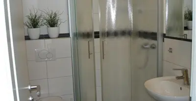 a bathroom with a shower and a sink with potted plants at Ferienwohnung am Bach in Kreuzlingen