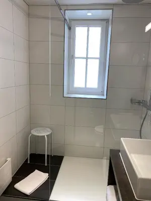 a bathroom with a shower and a sink and a stool at Boutique City Hotel Gallo in St. Gallen