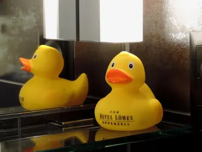 two rubber ducks sitting on a counter in a bathroom at Hotel Löwen in Appenzell