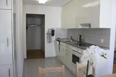 a white kitchen with a sink and a stove at Herisau Apartments in Herisau