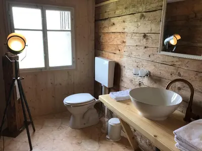 a bathroom with a sink and a toilet and a window at Alphütte Burst in Alt Sankt Johann