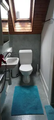 a bathroom with a toilet and a sink and a window at Gemütliche Dachwohnung in St. Gallen