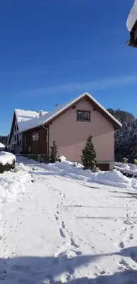 a house in the snow with footprints in the driveway at Loft in der Natur mit Gartenzugang und Sauna in Herisau