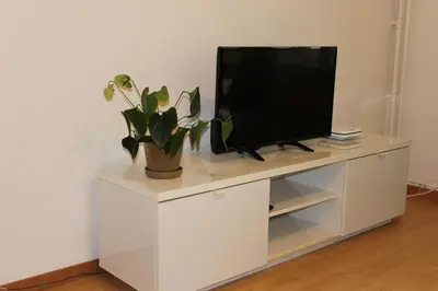 a tv on a white cabinet with a potted plant at Nice apartment with sun terrace in St. Gallen