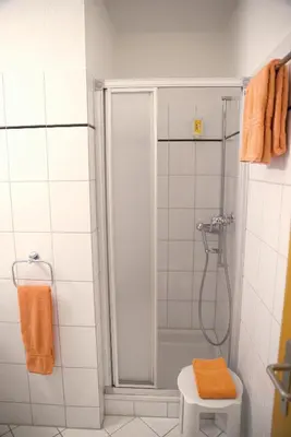 a bathroom with a shower and a toilet at Hotel Garni Arnegg in Arnegg